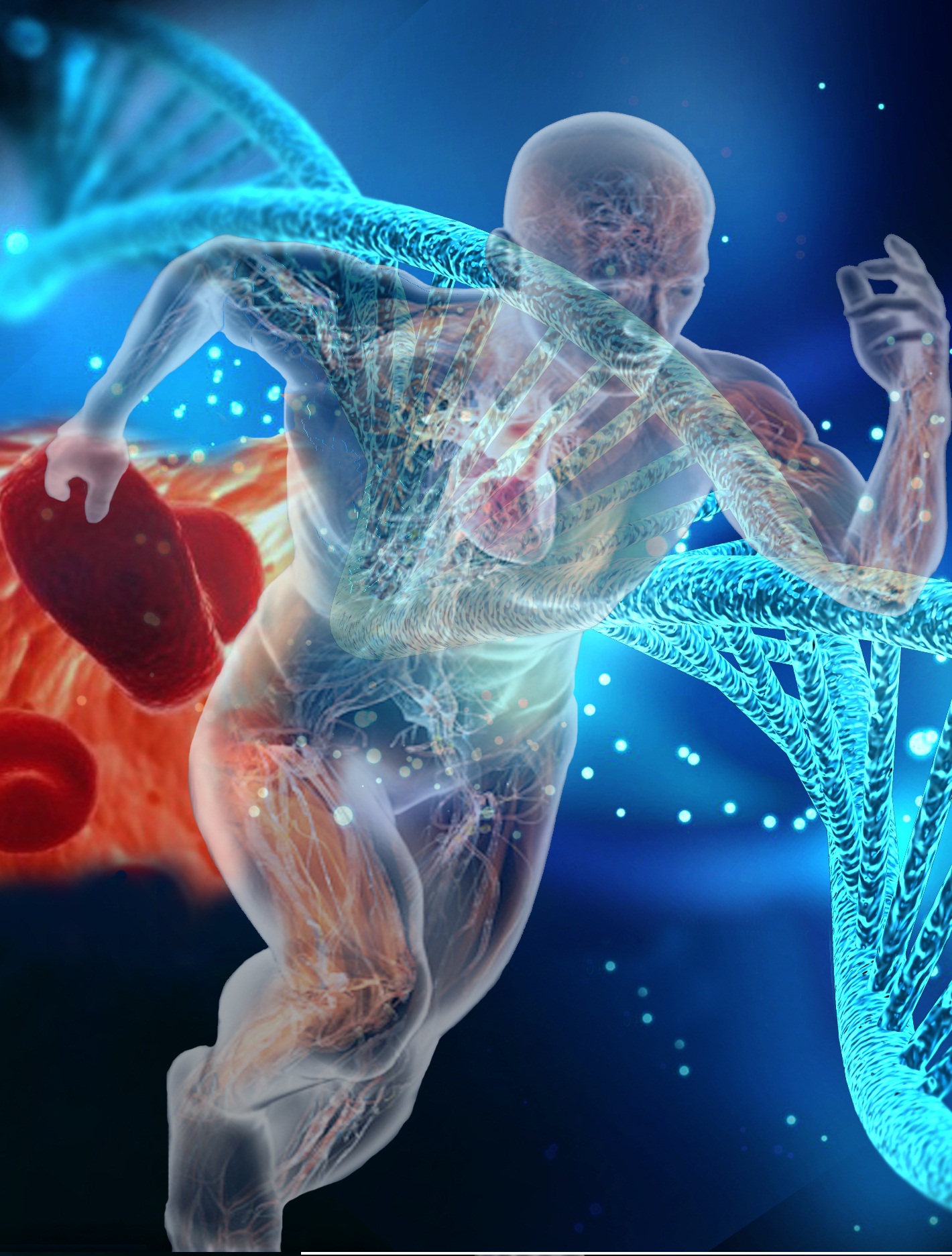 Logo do cabeçalho da página